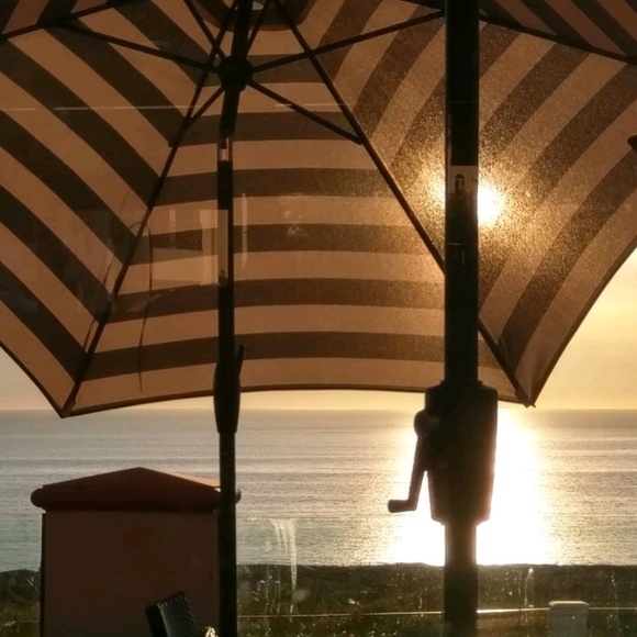 Meet your Posher, Lisandra - Picture 1 of 1